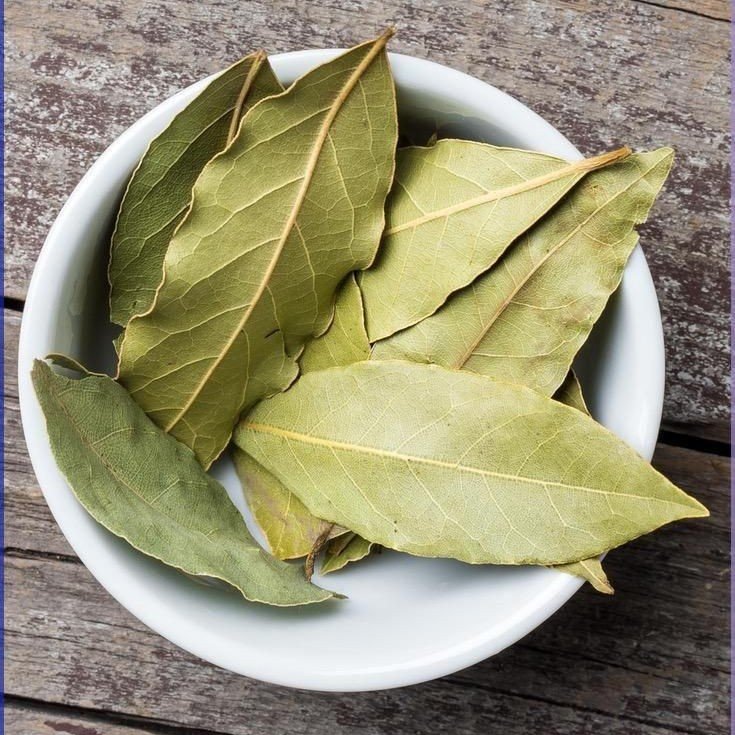 Bay Leaf